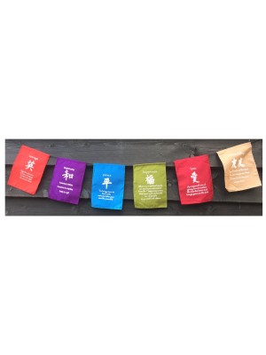 Multicoloured Feng Shui Meditation Prayer Flags - Hand Made in Bali - Fair Trade