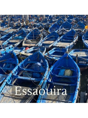 Inspirational Guide to Essaouira