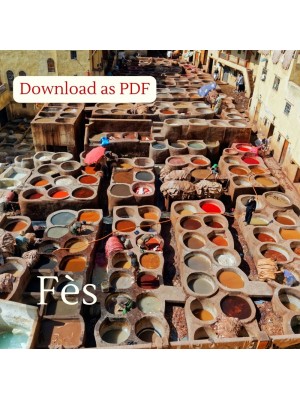 Inspirational Guide to Fès ( Fez)