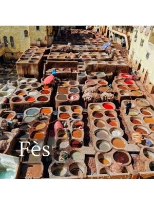 Inspirational Guide to Fès ( Fez)