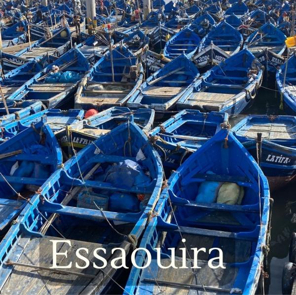 Inspirational Guide to Essaouira